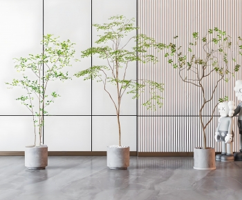 Modern Ground Green Plant Potted Plants-ID:489465008