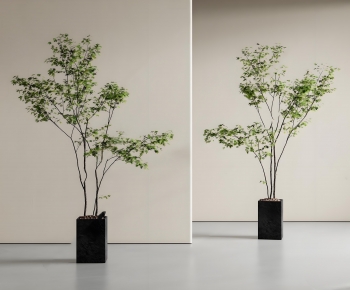 Modern Ground Green Plant Potted Plants-ID:866219042