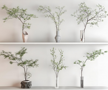 Modern Ground Green Plant Potted Plants-ID:295372962