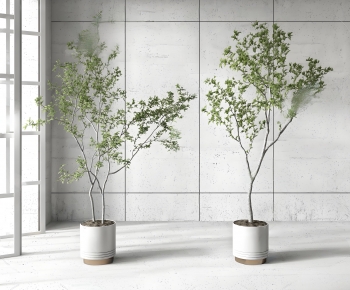 Modern Ground Green Plant Potted Plants-ID:531575928