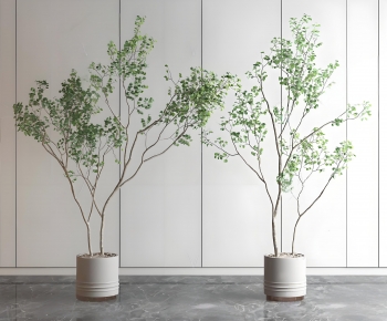 Modern Ground Green Plant Potted Plants-ID:834316029