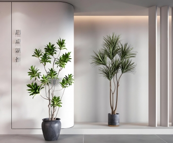 Modern Ground Green Plant Potted Plants-ID:977463964