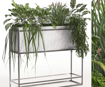 Modern Flower Bed, Flower Bowl, Flower Box-ID:479996925