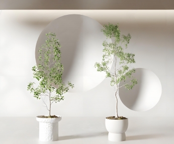 Modern Ground Green Plant Potted Plants-ID:952953104