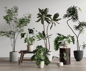Modern Ground Green Plant Potted Plants-ID:129462004