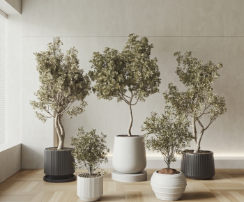 Modern Ground Green Plant Potted Plants-ID:775506028