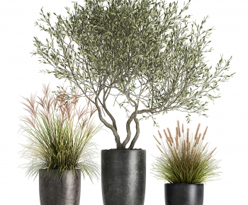 Modern Ground Green Plant Potted Plants-ID:206454048