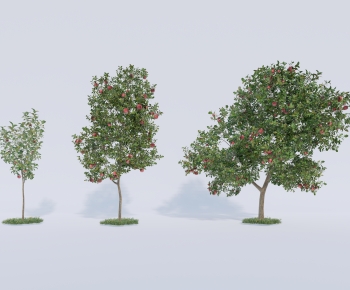 Modern Tree-ID:694595107