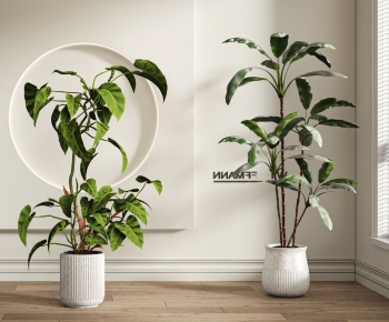 Modern Ground Green Plant Potted Plants-ID:516746047