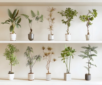 Modern Ground Green Plant Potted Plants-ID:313669926