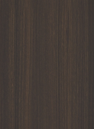ModernWood Texture