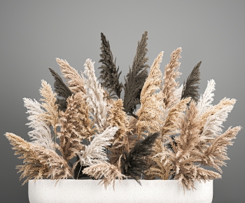 Modern Dried Branch-ID:316620114