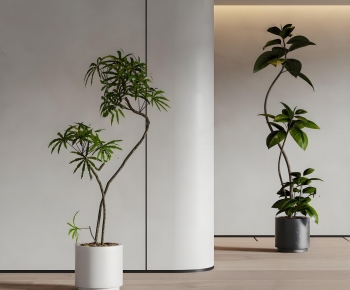 Modern Ground Green Plant Potted Plants-ID:809060109