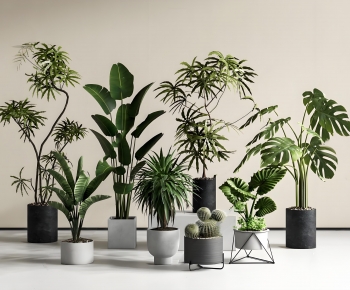 Modern Ground Green Plant Potted Plants-ID:609047894