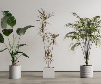 Modern Ground Green Plant Potted Plants-ID:114003904