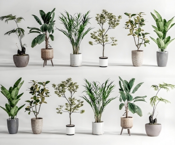 Modern Ground Green Plant Potted Plants-ID:872505907