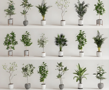 Modern Ground Green Plant Potted Plants-ID:692420018