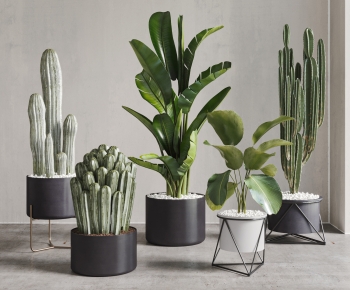 Modern Ground Green Plant Potted Plants-ID:241880893