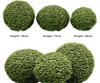 Modern Shrubbery-ID:866128923