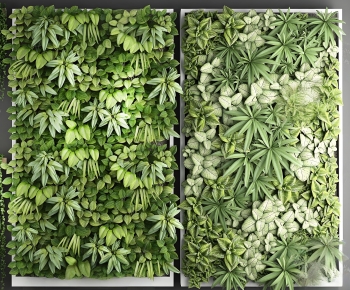 Modern Plant Wall-ID:607481095