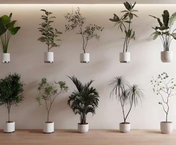 Modern Ground Green Plant Potted Plants-ID:368304979