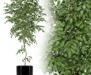 Modern Ground Green Plant Potted Plants-ID:484606037
