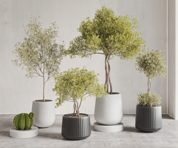 Modern Ground Green Plant Potted Plants-ID:994432936