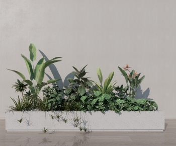 Modern Flower Bed, Flower Bowl, Flower Box-ID:293623925