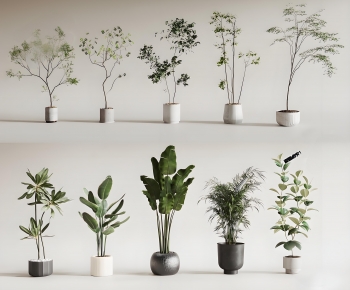 Modern Ground Green Plant Potted Plants-ID:848541986