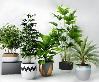 Modern Ground Green Plant Potted Plants-ID:259927035