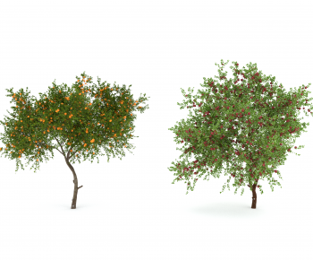 Modern Tree-ID:611373901