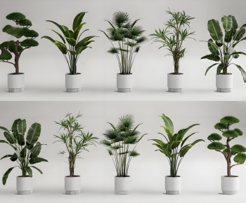 Modern Ground Green Plant Potted Plants-ID:378082998