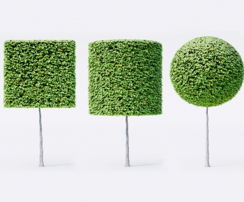 Modern Tree-ID:502438074