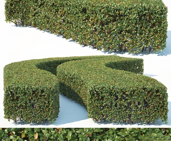 Modern Shrubbery-ID:869515907