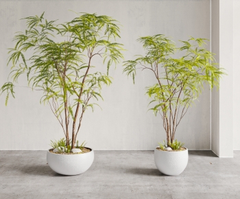 Modern Ground Green Plant Potted Plants-ID:905890947