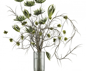 Modern Aquatic Green Plant-ID:531891111