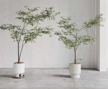 Modern Ground Green Plant Potted Plants-ID:590188031