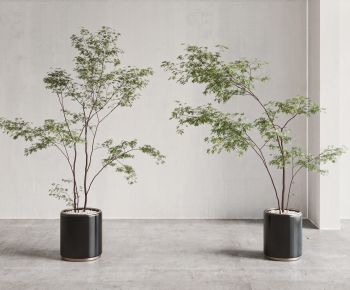 Modern Ground Green Plant Potted Plants-ID:468168023