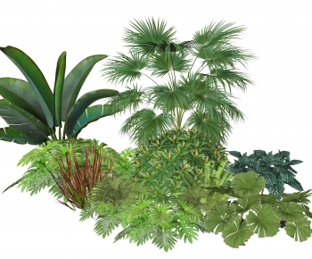 Modern Plant Pile-ID:511195902