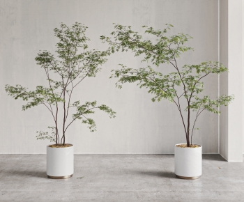 Modern Ground Green Plant Potted Plants-ID:849574099