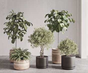 Modern Ground Green Plant Potted Plants-ID:214123963