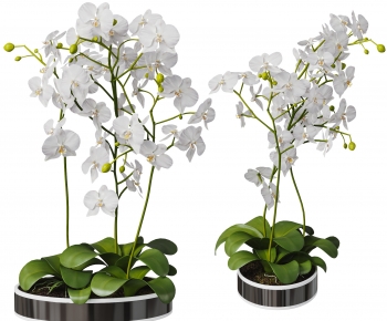 Modern Potted Green Plant-ID:356977948