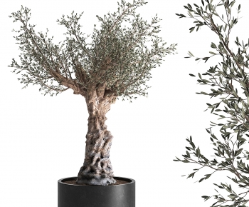 Modern Ground Green Plant Potted Plants-ID:526784906