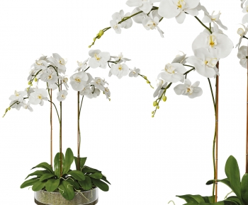 Modern Potted Green Plant-ID:538148918