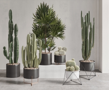 Modern Ground Green Plant Potted Plants-ID:520123962