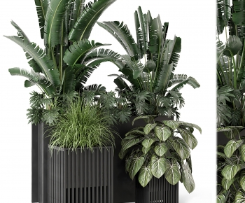 Modern Flower Bed, Flower Bowl, Flower Box-ID:141649227