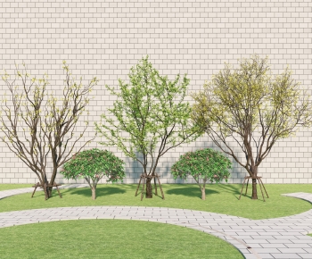 Modern Tree-ID:844851029