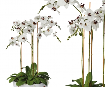 Modern Potted Green Plant-ID:213601119