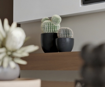 Modern Desktop Plant-ID:503559118