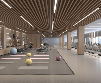 Modern Gym-ID:451307063